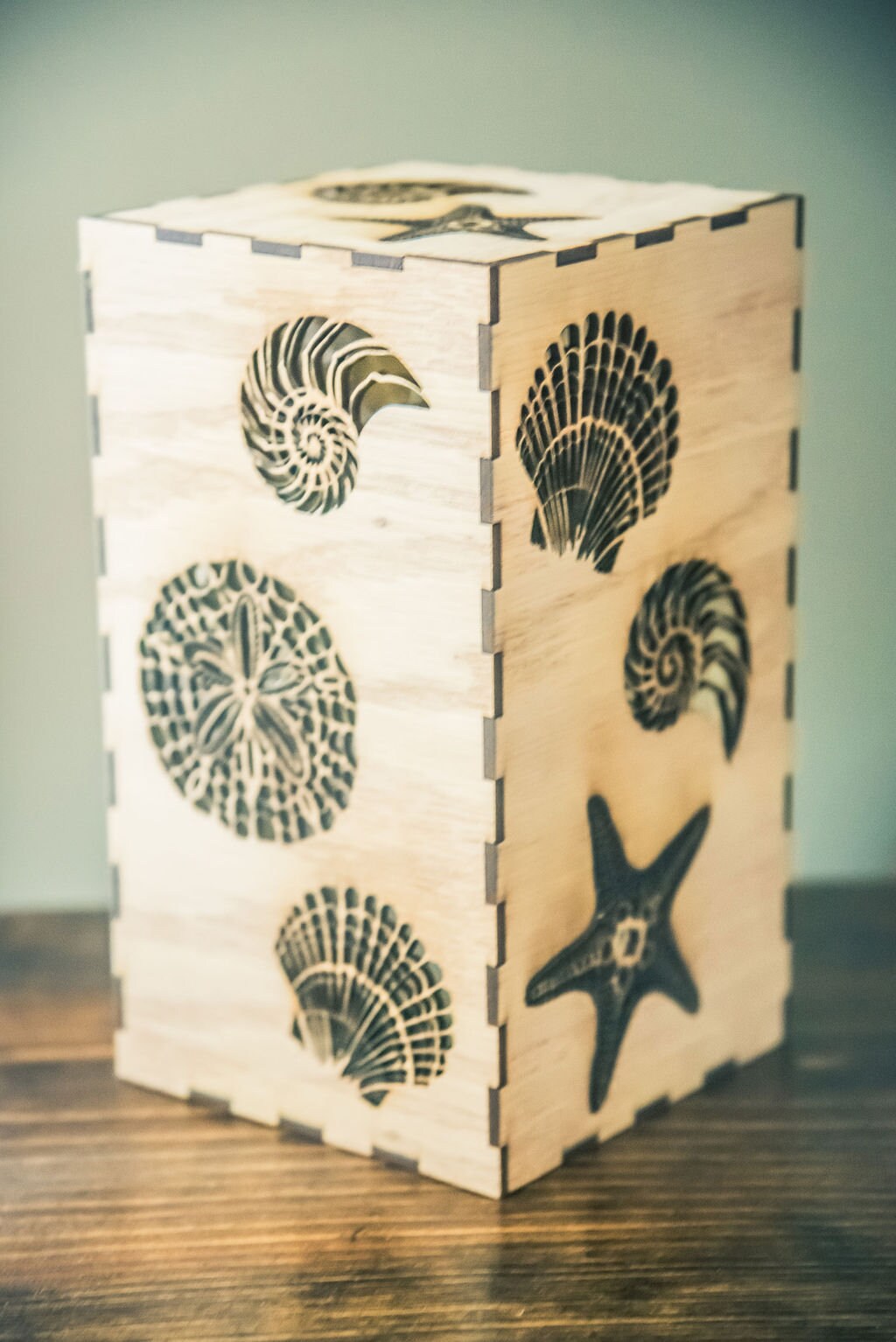 Sea Shells Lantern