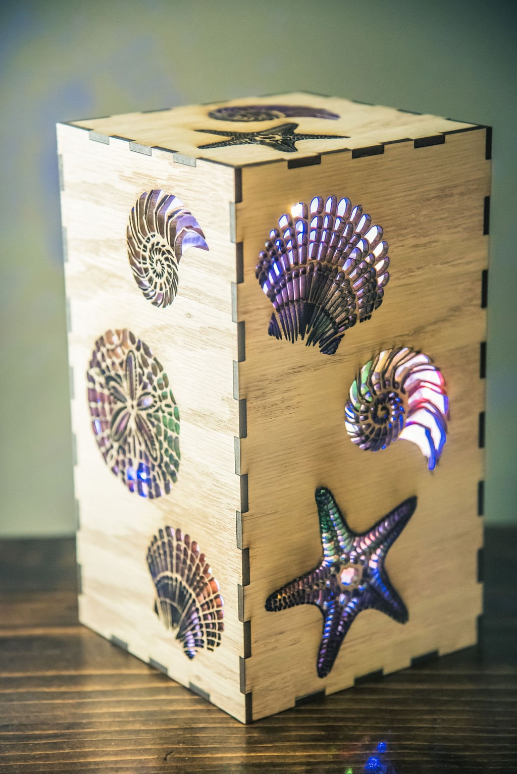 Sea Shells Lantern